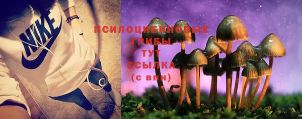 бошки Куйбышев